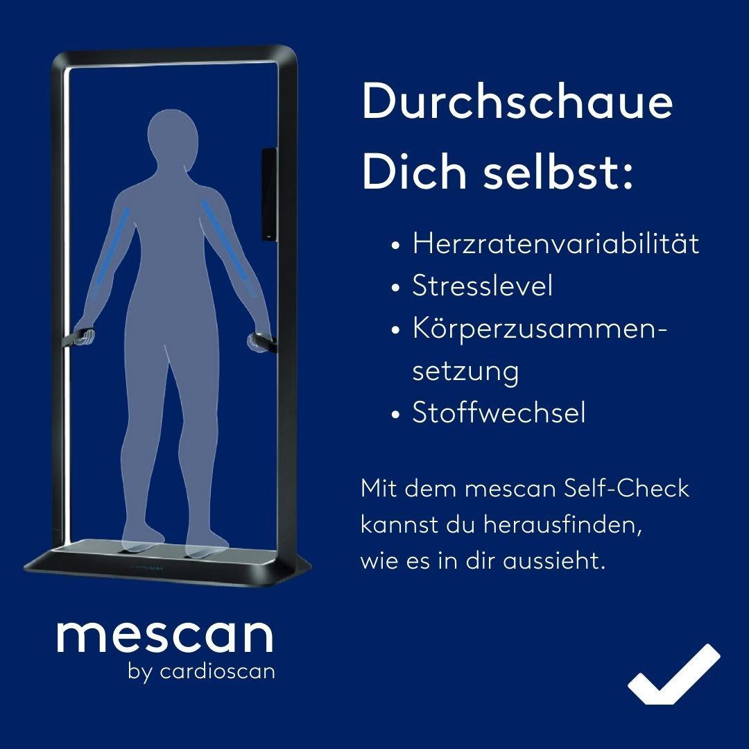 Mescan Im Berblick